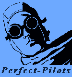 Perfect Pilots Web Site